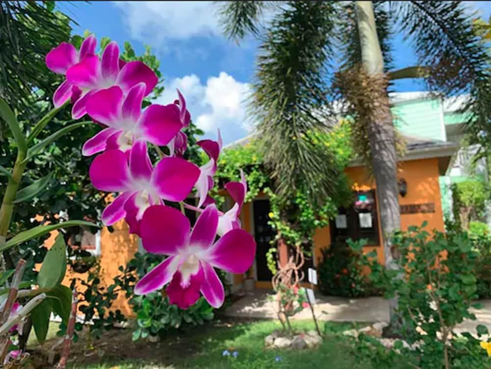 Buccaneer Beach Club Dickenson Bay Buitenkant foto