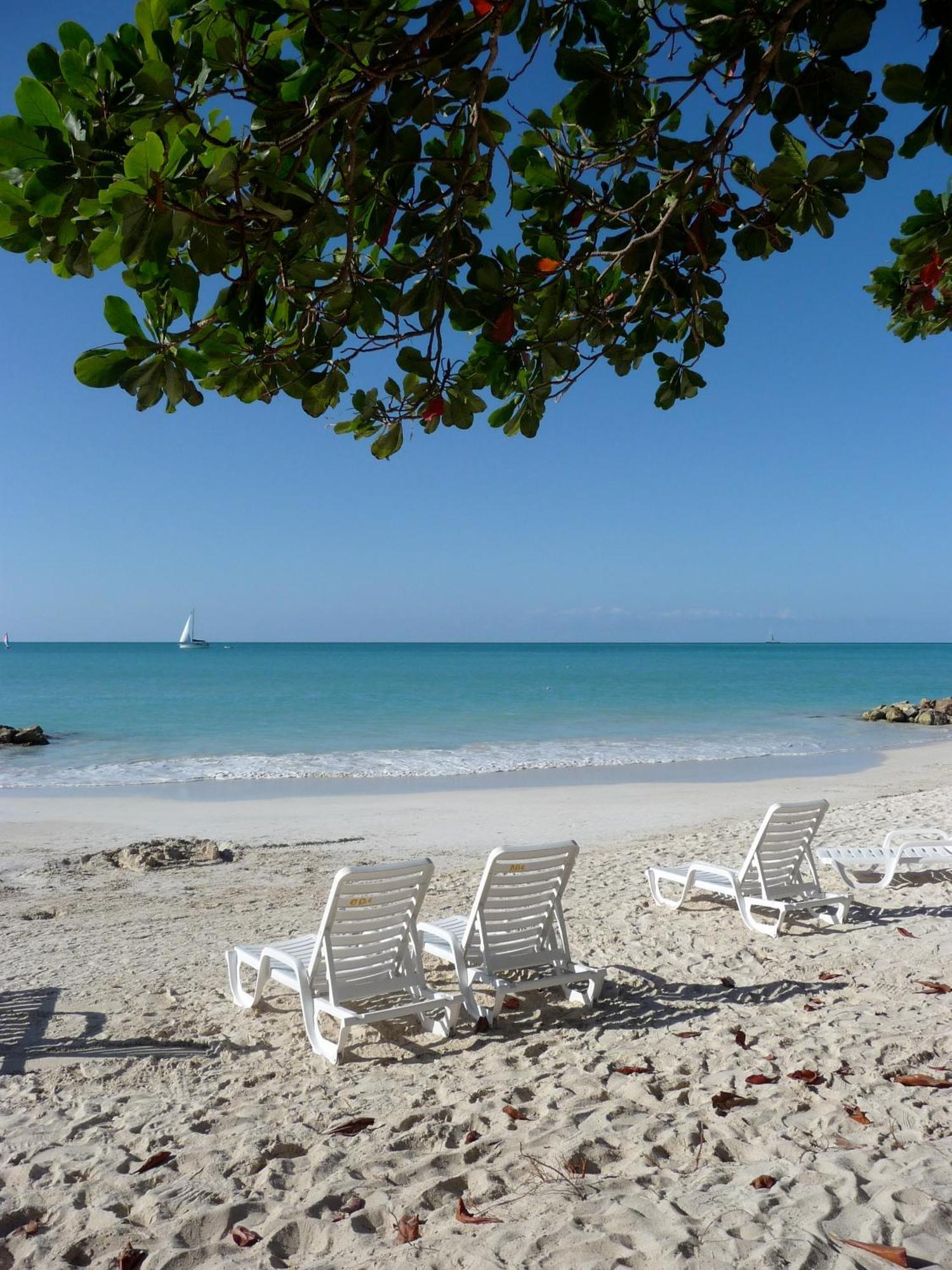 Buccaneer Beach Club Dickenson Bay Buitenkant foto