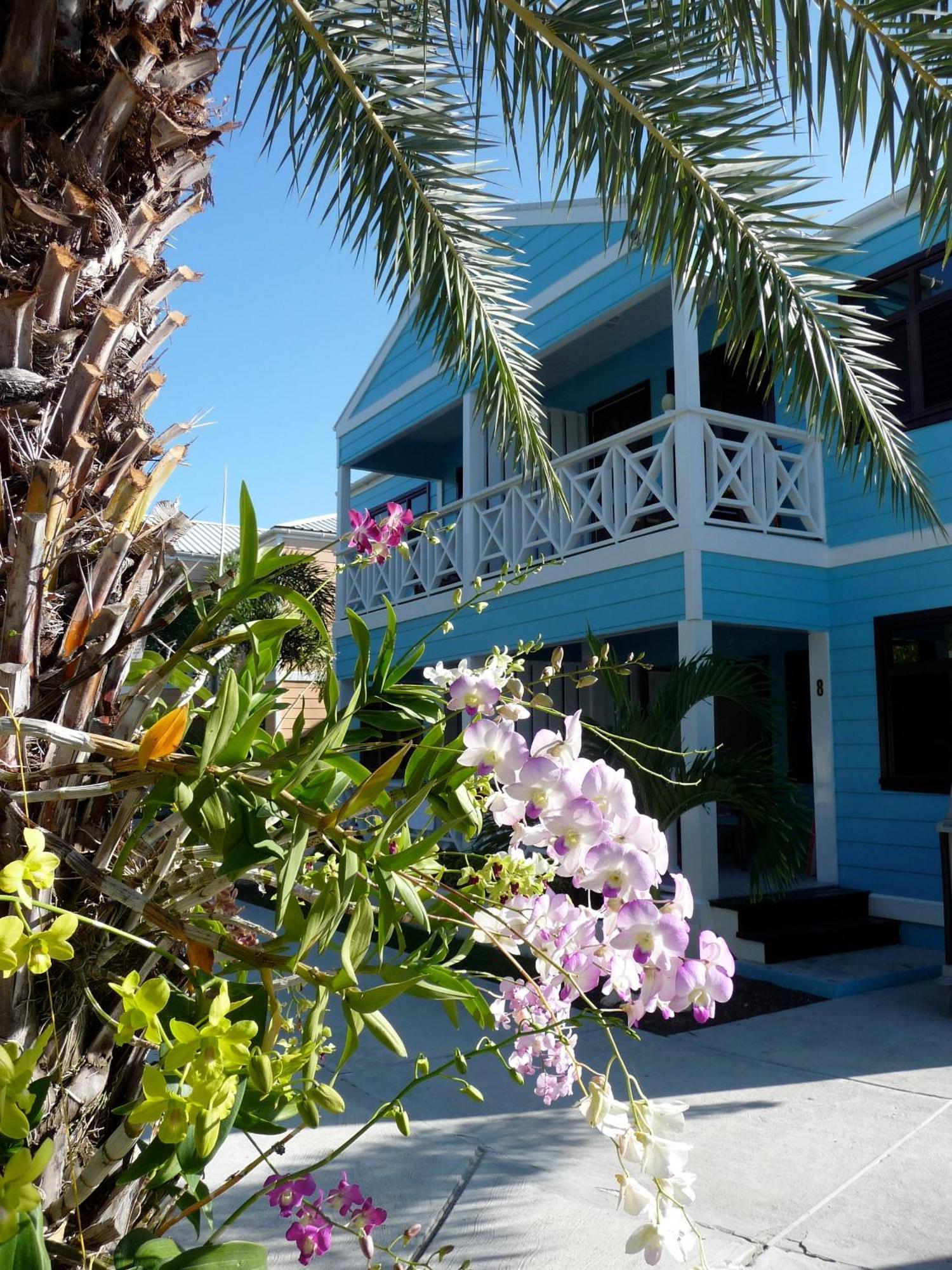 Buccaneer Beach Club Dickenson Bay Buitenkant foto