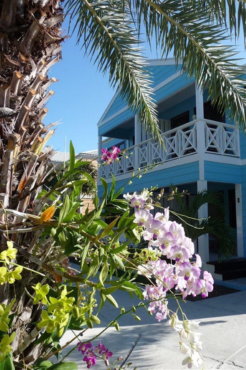 Buccaneer Beach Club Dickenson Bay Buitenkant foto