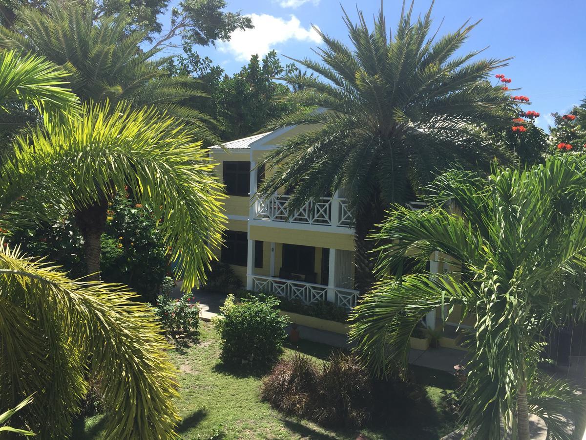 Buccaneer Beach Club Dickenson Bay Buitenkant foto