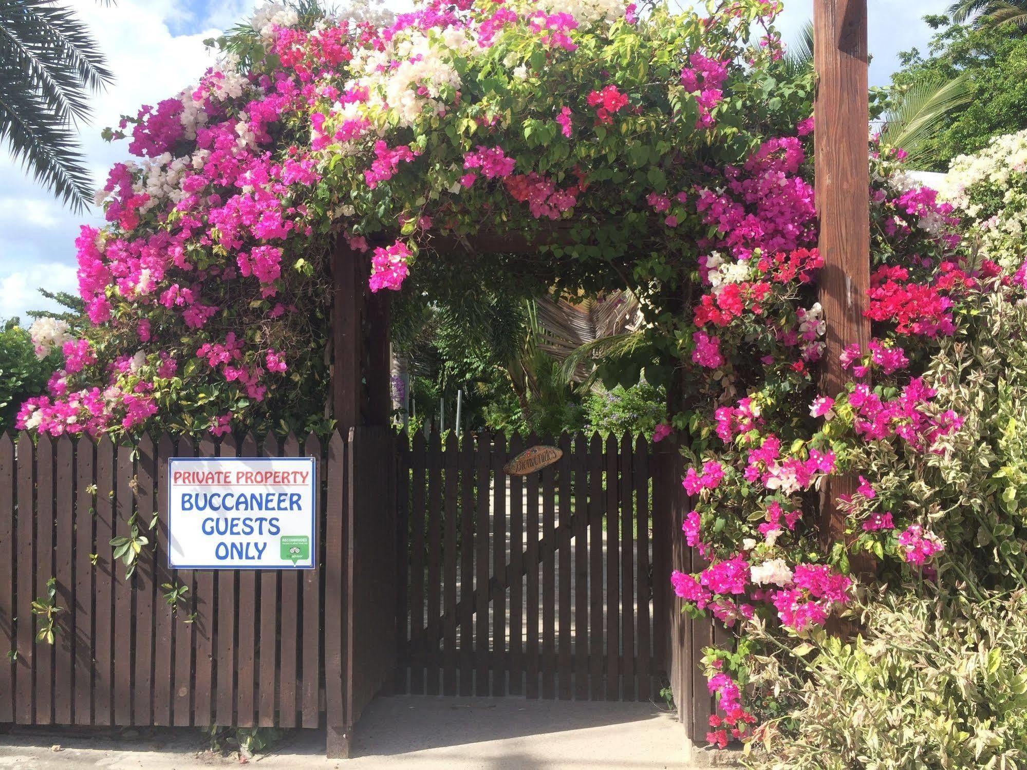 Buccaneer Beach Club Dickenson Bay Buitenkant foto