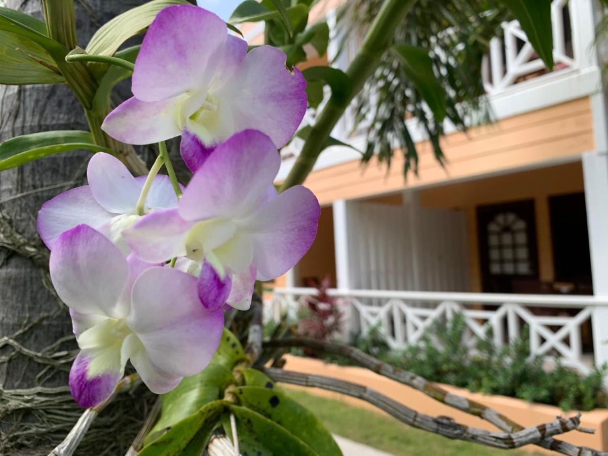 Buccaneer Beach Club Dickenson Bay Buitenkant foto